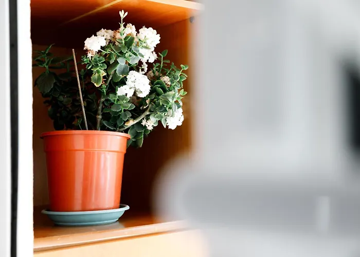 Side Apartament Gjirokastra