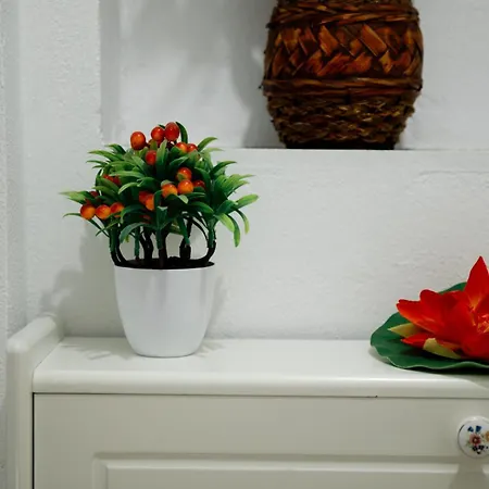 Side * Αργυρόκαστρο