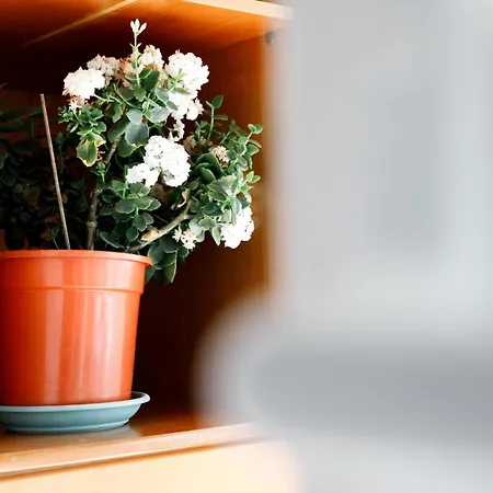 Side Διαμέρισμα Αργυρόκαστρο